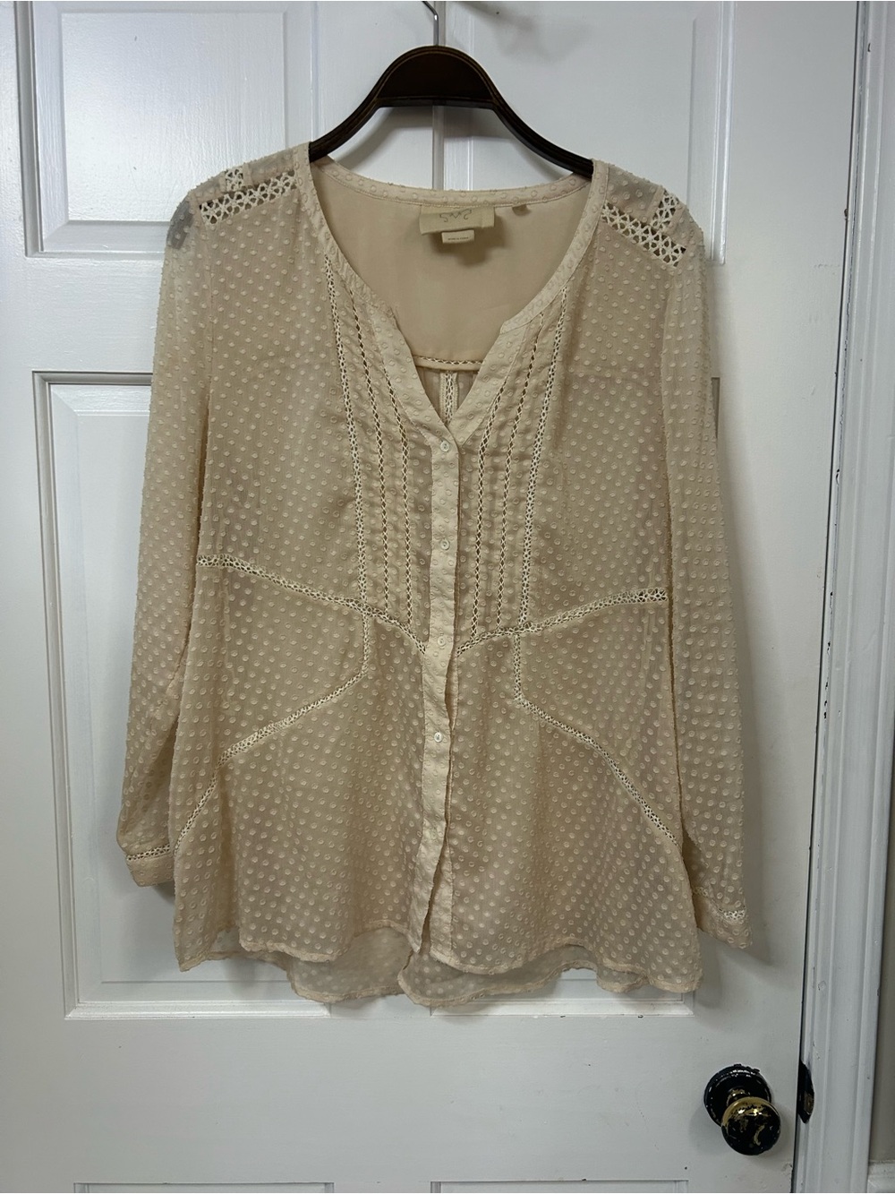 Anthropologie Cream Swiss Dot Lace-Trim Button Blouse